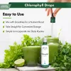 Chlorophyll Extract (30 Servings)
