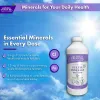 Grape Minerals