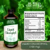 Liquid Chlorophyll